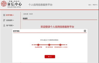 超重磅！史上最嚴(yán)征信系統(tǒng)正式上線，影響深遠(yuǎn)，手把手教您查詢